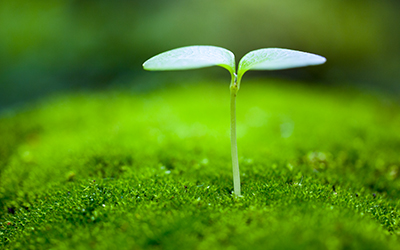 環境問題エリアの画像